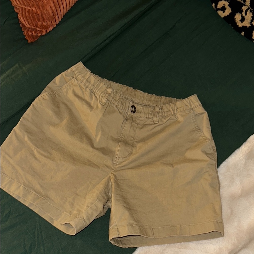 Chubbies “The Dunes” Flat Front Men's Shorts